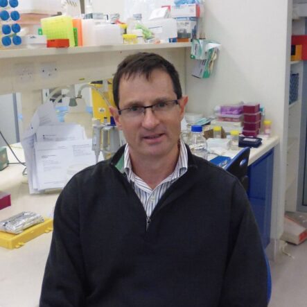 Professor David Kaye
