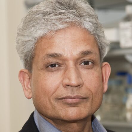 Professor Sharad Kumar