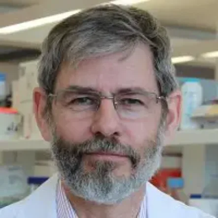 Professor Nigel Laing