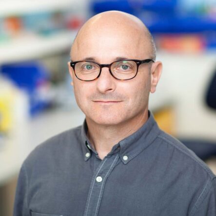 Professor David Burgner