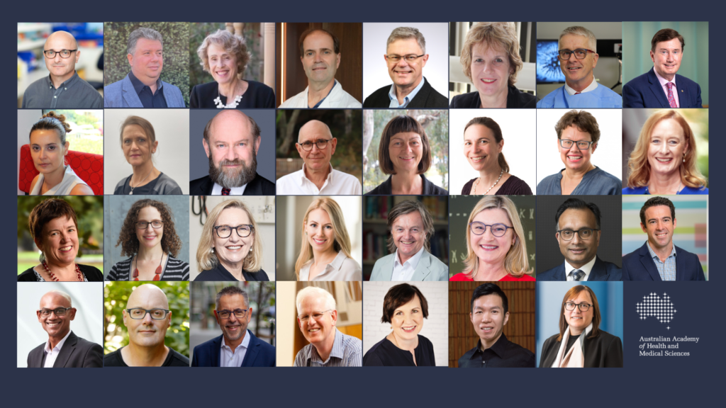 A compilation of 31 new Fellows from 2022