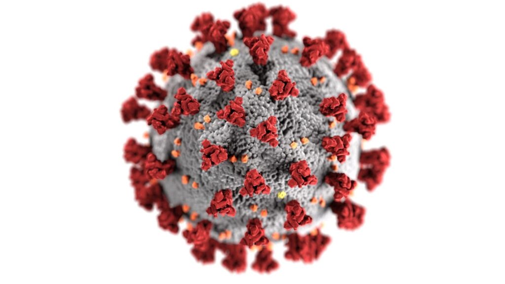 Long COVID and repeated infections inquiry submission