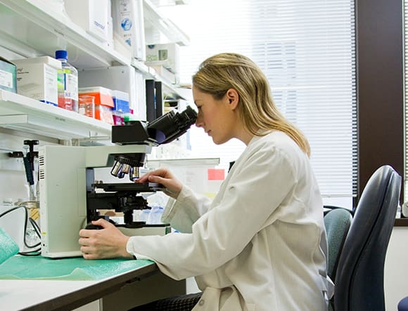 International Scientific Collaboration