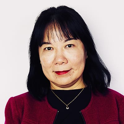 Distinguished Professor Fang Chen