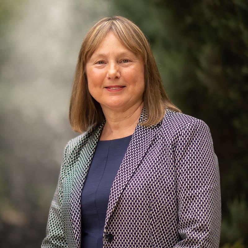 Distinguished Professor Meg Morris
