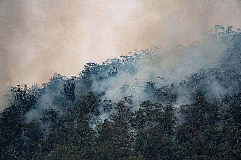 bushfire smoke