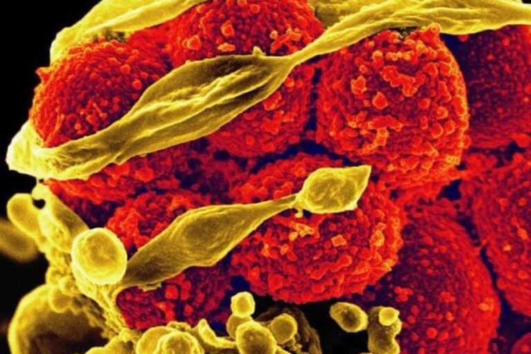 Academy welcomes publication of Medical Research Future Fund Priorities