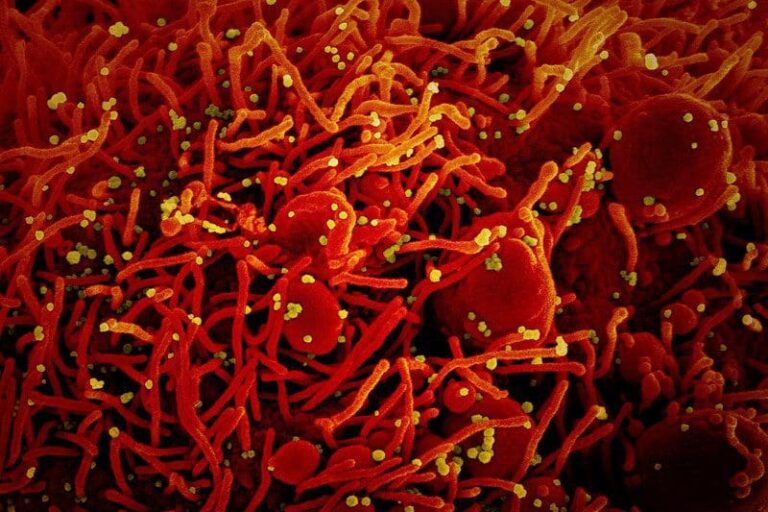 New RRIF briefing: promising therapeutics for COVID-19