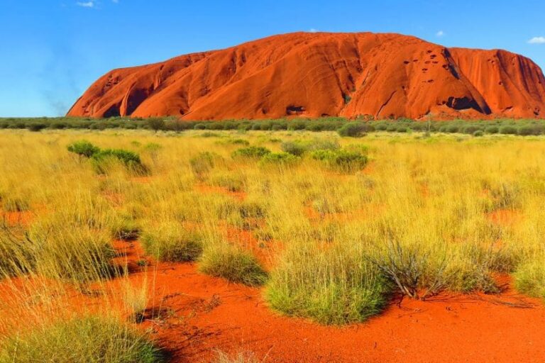 Learned Academies support Uluru Statement