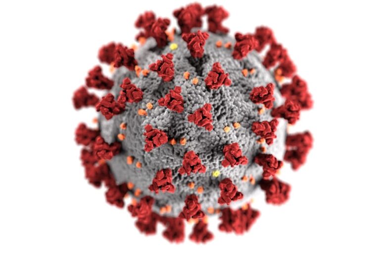 Image of the novel coronavirus